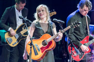 TheCommonLinnets-8214.jpg