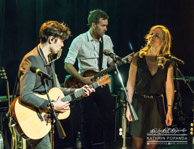 TheCommonLinnets-8258.jpg